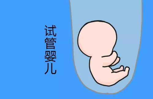 试管助孕生男孩